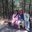 안강제일유치원 이미지