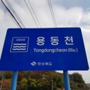 용동천 네이버블로그