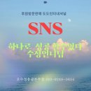 도도인셀덤