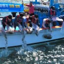 풍년수산 이미지