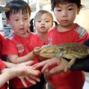 재영농장 이미지