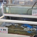 돔수산활어상차림 이미지