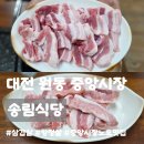 슈올즈 대전중앙시장점 | 대전 중앙시장 맛집ㅣ송림식당, 현지인 추천 노포감성 원동 삼겹살 항정살 솔직후기