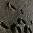 풀림 펜션 이미지