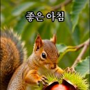 식초로 고치는 지병 이미지