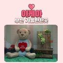 세일약국 | 이케아 세일 2025 부산 이케아 다녀온 후기