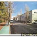 내서읍343 이미지