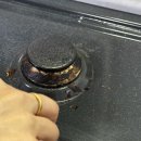 청소에빠지다입주청소이사청소 | 입주청소이사청소더바른청소입주청소 수원 후회만가득한 리얼후기