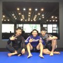 격투창고 MMA 이미지