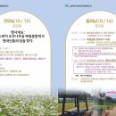 🌿평창 메밀스케치카페 야외무대 공연안내 🎸🎶 이미지