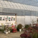 힐링팜 티스토리