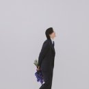 릴리움 이미지