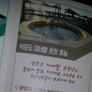 세븐일레븐 강화외포리 이미지