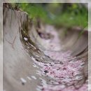 장복산길 이미지