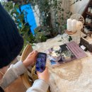 고양이무마취미용 묘갱살롱 | 실습/천연 화장품 만들기/수원 아로마수업/외부출강/아로마 단체 수업/명품 화장품/아로묘갱/묘갱살롱