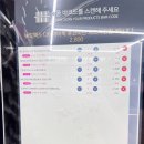 펫트맨