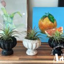 친환경 식물로 소품만들기 이미지