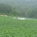 장춘농장 이미지