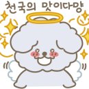 아지펜션 이미지