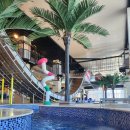 아쿠아 파크 | 광주 워터파크 아쿠아시티 내돈내산 후기