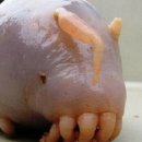 바다PC방 이미지