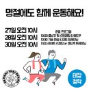 태장청학복싱&무에타이 이미지