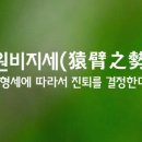 은지세 이미지