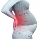 바디모어핏 이미지