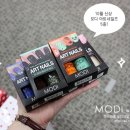 S032 | 모디에서 선물 왔어요 ♥