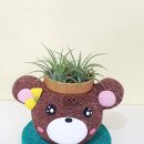 반려식물 원예화분 공예 이미지