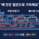 주린이도 이해하는 (조선기자재-2편) "피팅·밸브: 배 안의 혈관을 잇고 잠그는 핵심 기술의 세계"