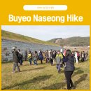 나성 필서봉 이미지