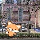 서강로 97 삼성 프라자 | 마포 홍대 신촌 24시찜질방 친정숲불한증막 사우나 여성전용 수면실