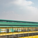 송아지농장 이미지