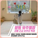 유주별장 이미지