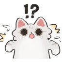 댕냥이키친 이미지