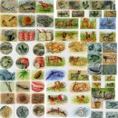 한솔교육주니어랩스쿨 이미지