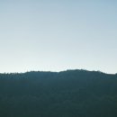 하나포장 이미지