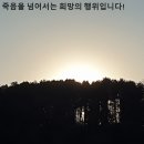 희망 이미지