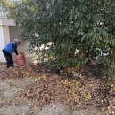 고운어린이공원 네이버블로그