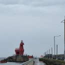 이호운동장 | 제주 포링크 웰니스 라운지 방문후기 ㅣ 동네 강아지 이웃들 줄줄이 다 방문하는 중, 오늘은 명자와...