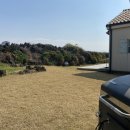 딸기네 민박 이미지