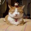 창공의계곡 이미지