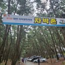 삼송유도회관 | 제1회 2023 태안 차박캠핑축제 삼봉해수욕장 내년에도 기대가 되는 후기