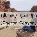 투어콜