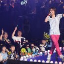 대성관광㈜ 이미지