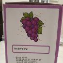다산포도농원 | 포도씨까지 짜낸 원뽀농원 포도즙[임신준비음식 건강한 100%포도즙 내돈내산후기]