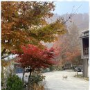 별빛계곡펜션 이미지