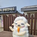 두물머리 관광안내소 | 양평 두물머리연핫도그 서울 근교 가볼만한 곳 두물머리 주차 화장실 물품보관함 반려견