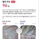 다시,봄 | 카픽시아 나모나 두피생장술 비용·후기가 궁금하다면? 다시봄뷰티에서 상담 받아볼까?
